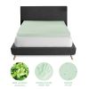 3-Inch Green Tea Infused Memory Foam Mattress Topper - Twin