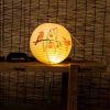 Handmade Round Paper Lantern Chinese/Japanese Style Painted Perching Birds Decorative Hanging Lantern