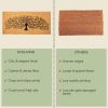 Extra Large Floor Mat for Patio Tree Print Beige 47x22 inch Decor Coco Coir Mats with PVC Backing Non Slip Mat for Farmhouse and Home Decor Rustic Pat